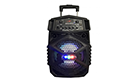 Portable LOUDSpeaker EK-1900 3800158122503