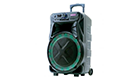 Professional Speaker EK-2919A - rechargeable